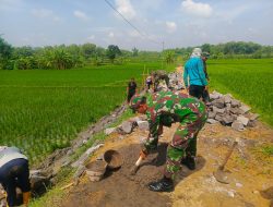 Babinsa Bangun Jalan Menuju Sawah, Mempermudah Akses Petani Menuju Sawah   
