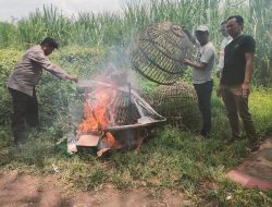 Polsek Prambon Bantah Isu Sabung Ayam di Jatikalang, Lokasi Dinyatakan Kosong dan Dibersihkan   