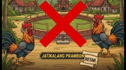 Klarifikasi dan Sanggahan:Tidak Benar Ada Pembiaran Area Sabung Ayam di Jatikalang,prambon