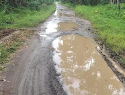 Akses Wisata Dibiarkan Rusak Bertahun-tahun, Warga Karanganyar–Sowmil Tanggamus Murka