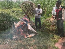 Polsek Prambon Pastikan Tidak Ada Aktipitas Sabung Ayam di Jatikalang